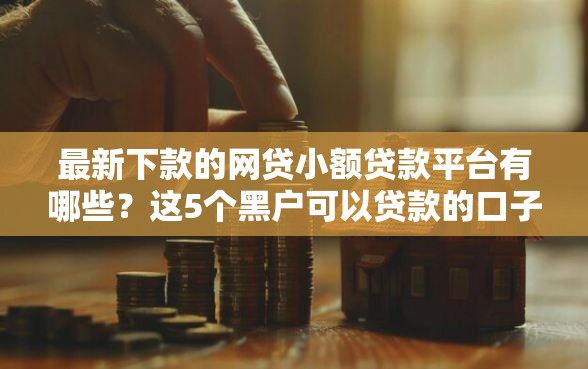 最新下款的网贷小额贷款平台有哪些？这5个黑户可以贷款的口子值得一试