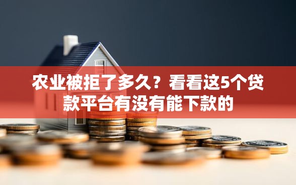 农业被拒了多久？看看这5个贷款平台有没有能下款的