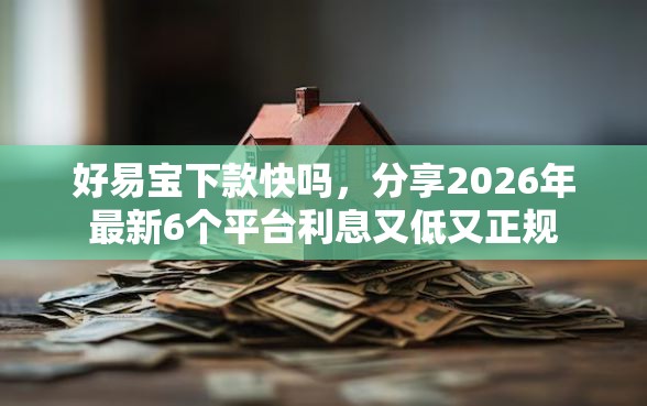 好易宝下款快吗，分享2026年最新6个平台利息又低又正规