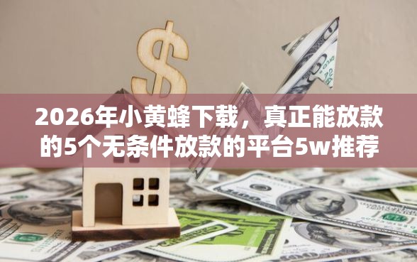 2026年小黄蜂下载，真正能放款的5个无条件放款的平台5w推荐