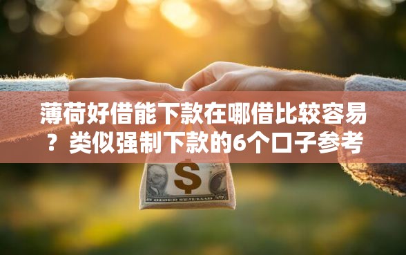薄荷好借能下款在哪借比较容易？类似强制下款的6个口子参考