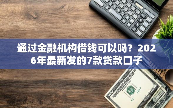 通过金融机构借钱可以吗？2026年最新发的7款贷款口子