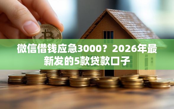 微信借钱应急3000？2026年最新发的5款贷款口子