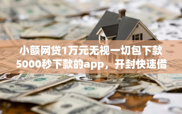 小额网贷1万元无视一切包下款5000秒下款的app，开封快速借钱的6个平台介绍