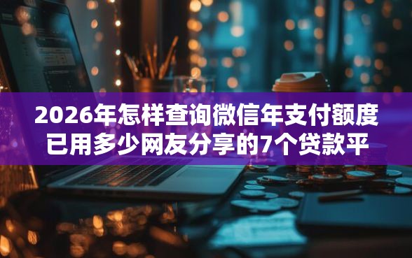 2026年怎样查询微信年支付额度已用多少网友分享的7个贷款平台排行榜我觉得不错！