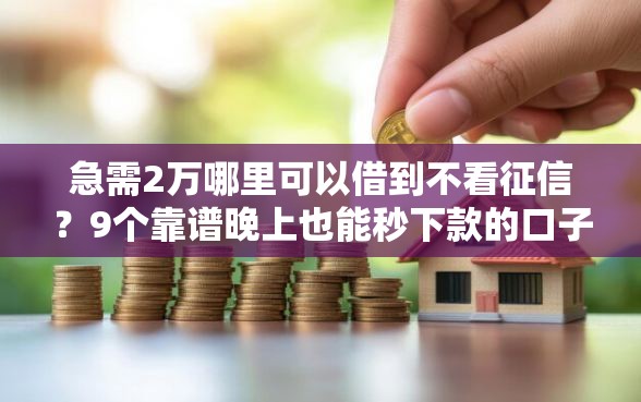 急需2万哪里可以借到不看征信？9个靠谱晚上也能秒下款的口子推荐