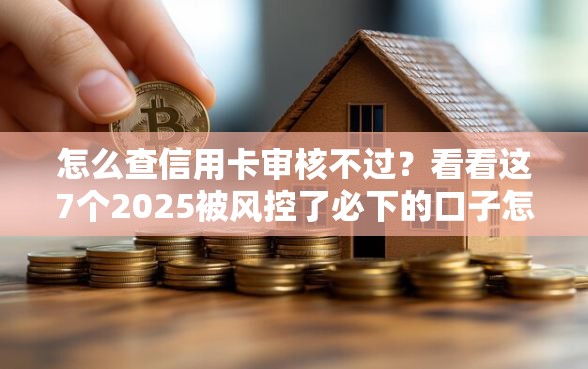 怎么查信用卡审核不过？看看这7个2025被风控了必下的口子怎么样