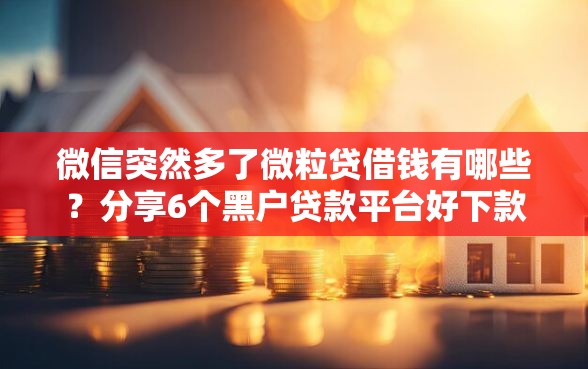 微信突然多了微粒贷借钱有哪些？分享6个黑户贷款平台好下款快
