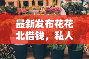 最新发布花花北借钱，私人借钱4千元有这8个渠道