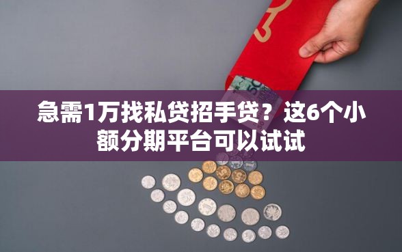 急需1万找私贷招手贷？这6个小额分期平台可以试试