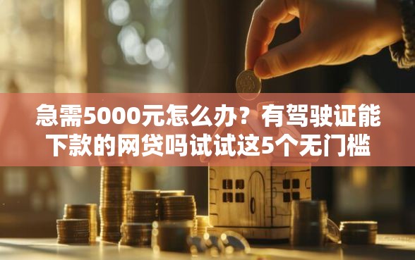 急需5000元怎么办？有驾驶证能下款的网贷吗试试这5个无门槛平台