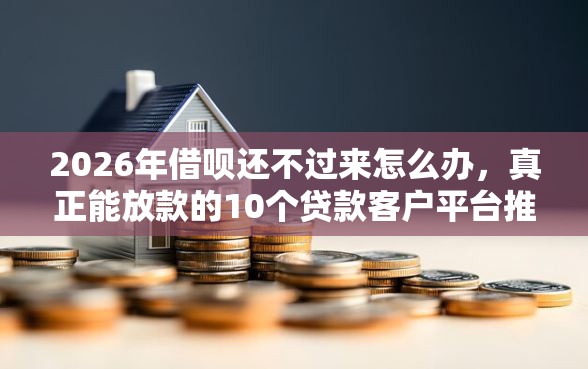 2026年借呗还不过来怎么办，真正能放款的10个贷款客户平台推荐