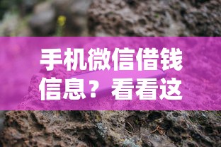 手机微信借钱信息？看看这6个什么口子不看征信必下款怎么样