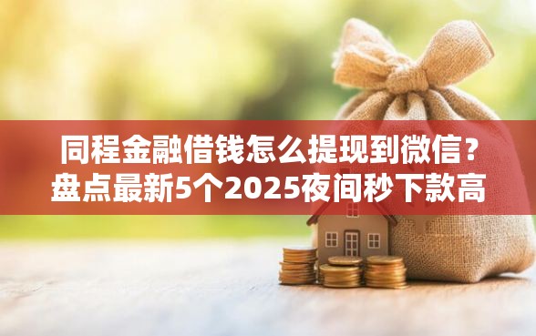 同程金融借钱怎么提现到微信？盘点最新5个2025夜间秒下款高炮口子
