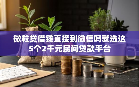 微粒贷借钱直接到微信吗就选这5个2千元民间贷款平台