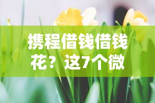 携程借钱借钱花？这7个微信有什么借钱平台值得一试