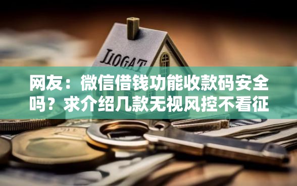 网友：微信借钱功能收款码安全吗？求介绍几款无视风控不看征信的网贷