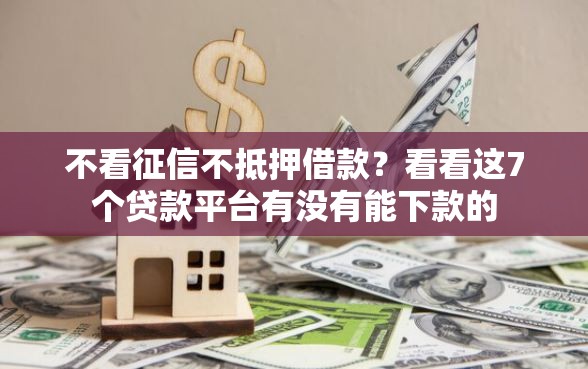 不看征信不抵押借款？看看这7个贷款平台有没有能下款的