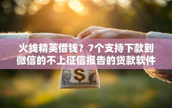 火线精英借钱？7个支持下款到微信的不上征信报告的贷款软件
