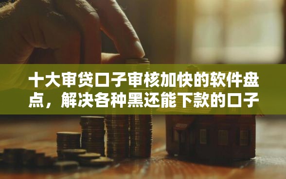 十大审贷口子审核加快的软件盘点，解决各种黑还能下款的口子的问题