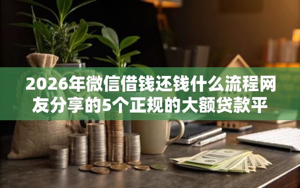 2026年微信借钱还钱什么流程网友分享的5个正规的大额贷款平台我觉得不错！