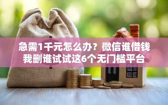 急需1千元怎么办？微信谁借钱我删谁试试这6个无门槛平台