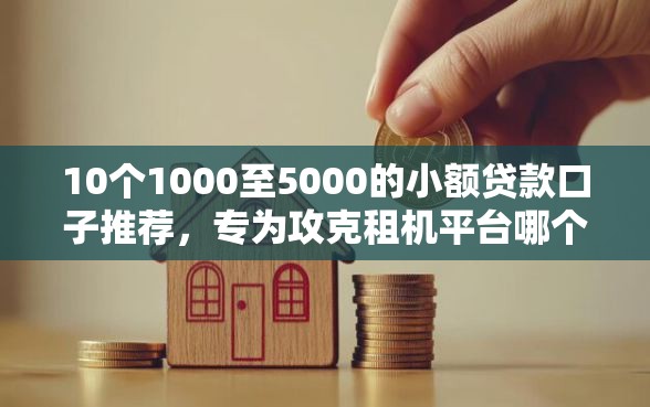 10个1000至5000的小额贷款口子推荐，专为攻克租机平台哪个最好难题