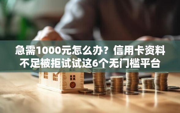 急需1000元怎么办？信用卡资料不足被拒试试这6个无门槛平台