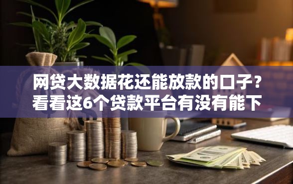 网贷大数据花还能放款的口子？看看这6个贷款平台有没有能下款的