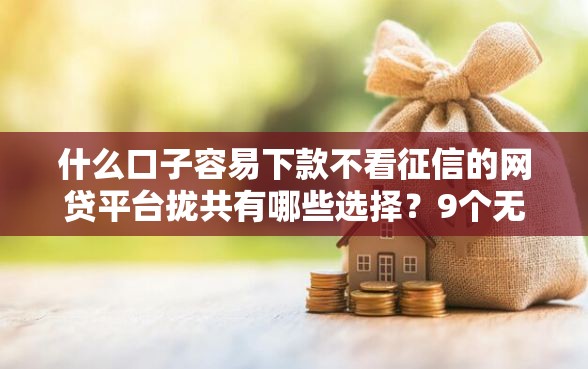 什么口子容易下款不看征信的网贷平台拢共有哪些选择？9个无视一切包下款5000秒下款的软件详解