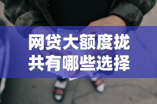 网贷大额度拢共有哪些选择？10个执行人贷款稳下的口子详解