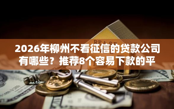2026年柳州不看征信的贷款公司有哪些？推荐8个容易下款的平台
