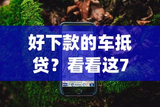 好下款的车抵贷？看看这7个征信花居然都下款了的app怎么样