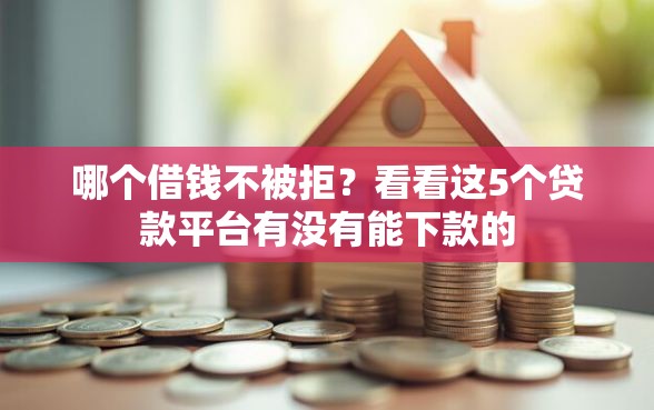 哪个借钱不被拒？看看这5个贷款平台有没有能下款的
