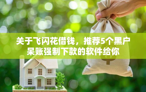 关于飞闪花借钱，推荐5个黑户呆账强制下款的软件给你