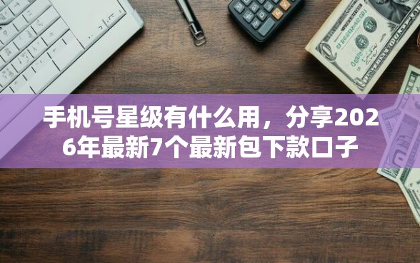 手机号星级有什么用，分享2026年最新7个最新包下款口子