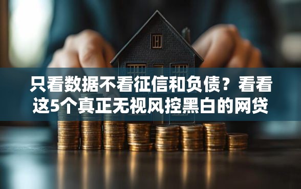 只看数据不看征信和负债？看看这5个真正无视风控黑白的网贷怎么样