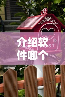 介绍软件哪个下款好一点就选这6个1万元招财猫贷款平台怎么样