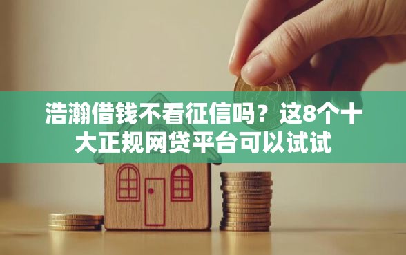 浩瀚借钱不看征信吗？这8个十大正规网贷平台可以试试