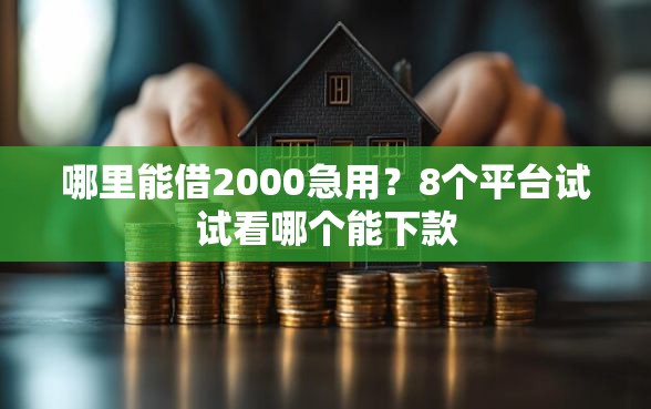 哪里能借2000急用？8个平台试试看哪个能下款