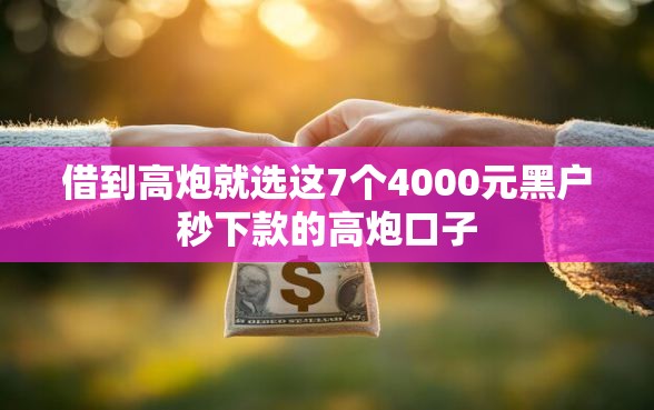 借到高炮就选这7个4000元黑户秒下款的高炮口子
