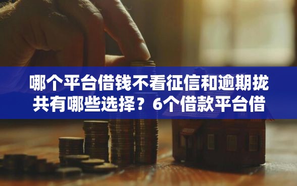 哪个平台借钱不看征信和逾期拢共有哪些选择？6个借款平台借钱靠谱详解