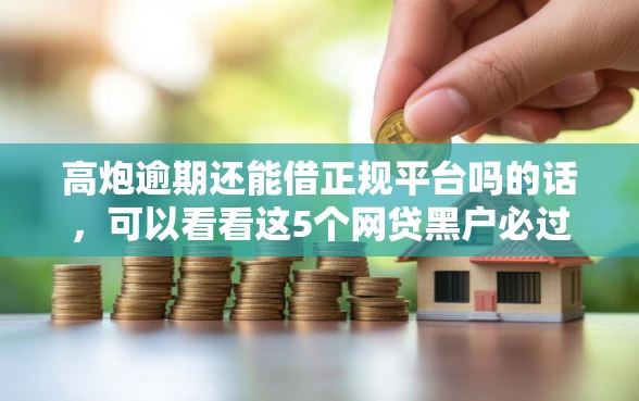 高炮逾期还能借正规平台吗的话，可以看看这5个网贷黑户必过软件