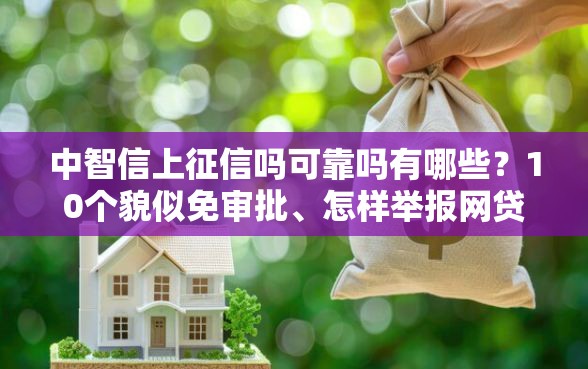 中智信上征信吗可靠吗有哪些？10个貌似免审批、怎样举报网贷平台合集