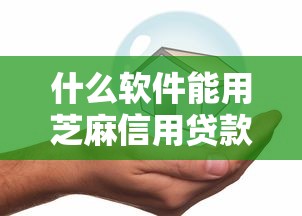什么软件能用芝麻信用贷款10000元无门槛本月借款平台力荐！分享小额网贷口子10000元无门槛借款