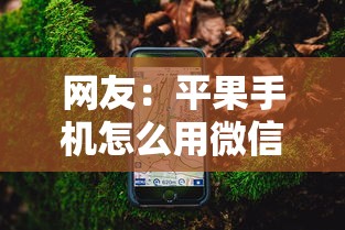 网友：平果手机怎么用微信借钱？求介绍几款黑户花户能秒下款的平台