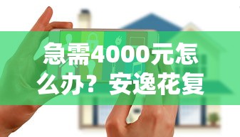 急需4000元怎么办？安逸花复借被拒试试这5个无门槛平台