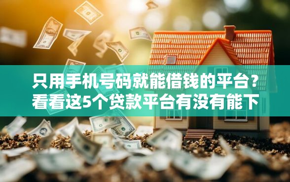 只用手机号码就能借钱的平台？看看这5个贷款平台有没有能下款的
