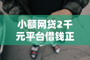 小额网贷2千元平台借钱正规，微贷款粒能贷多少的5个平台介绍