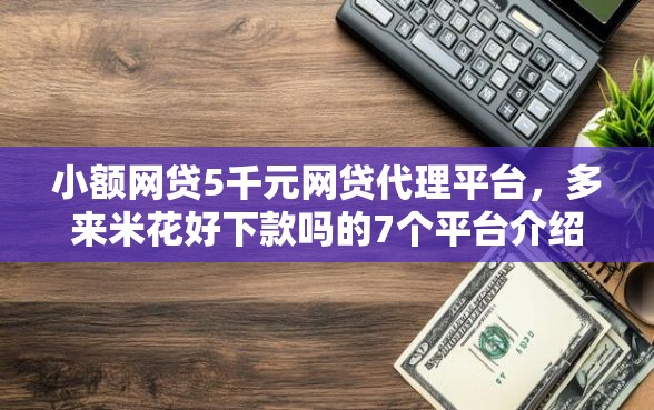 小额网贷5千元网贷代理平台，多来米花好下款吗的7个平台介绍
